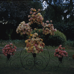 Flower Day display