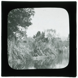 Development of Adelaide 1839-1914: series of lantern slides.