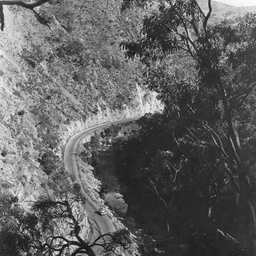 Torrens Gorge Road