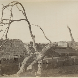 Adelaide and the Adelaide Hills: album of views