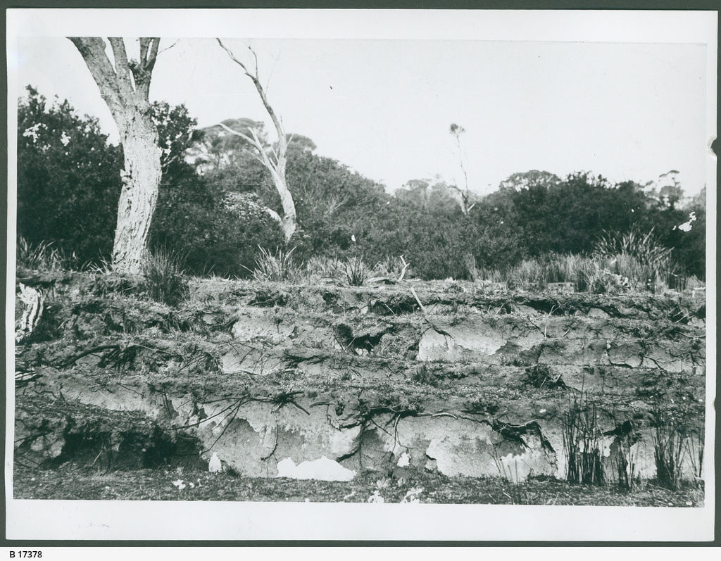 Robe • Photograph • State Library of South Australia