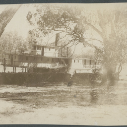 "S. S. Ellen", River Murray