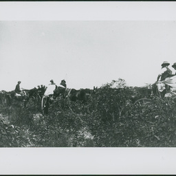 Visit of Sir D. H. Bosanquet