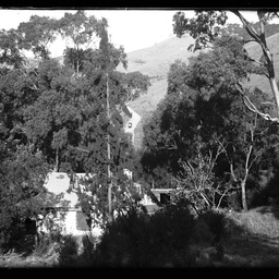 Collection of photographs taken around Adelaide by Theo Bachmann