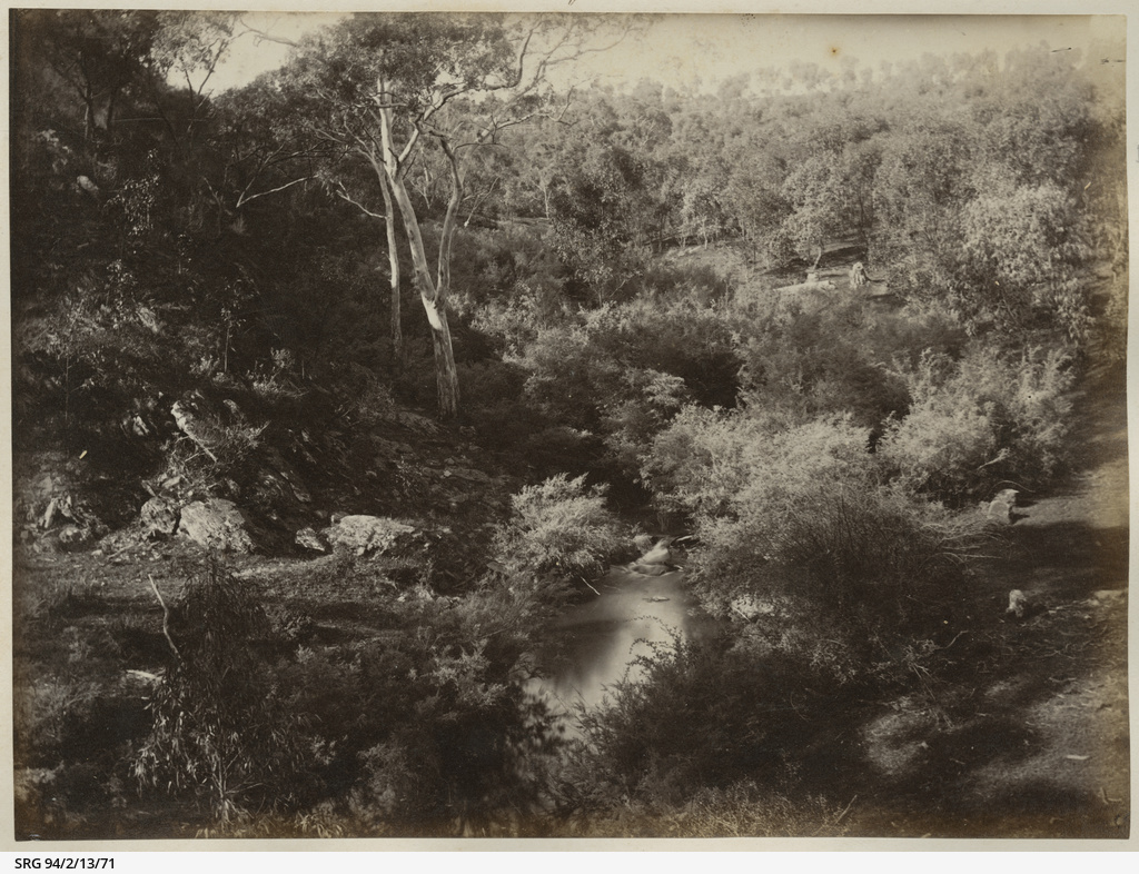 Tea Tree Gully • Photograph • State Library of South Australia
