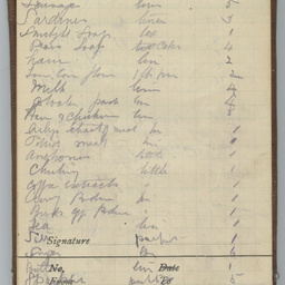 Diary of Trooper Miles Fletcher Swan
