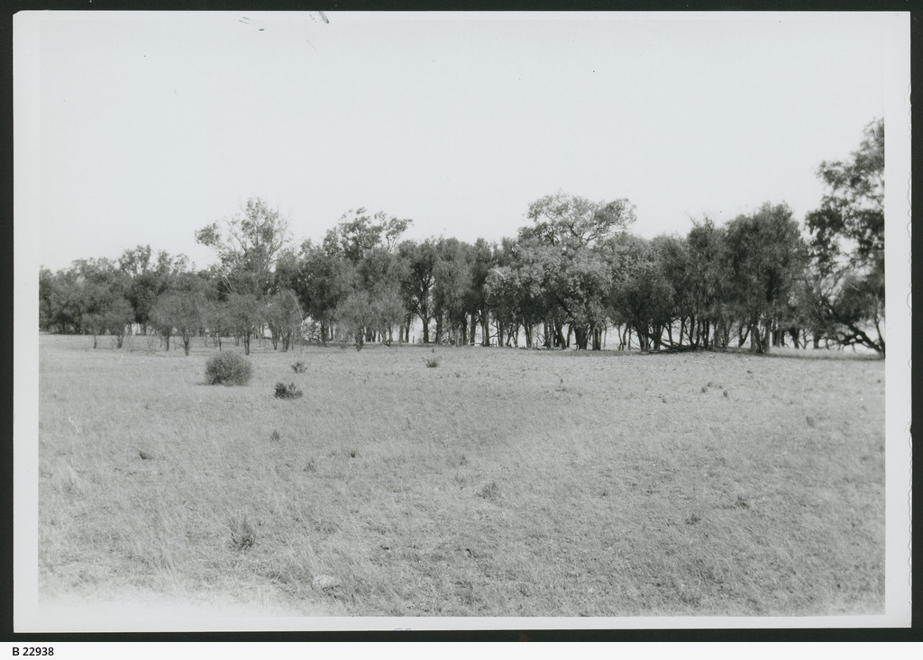 Lake Bonney • Photograph • State Library of South Australia