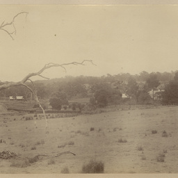 Robert Davenport family album