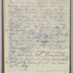Diary of Trooper Miles Fletcher Swan