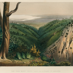 View from Mount Lofty, looking towards the Port, across the Adelaide Plains