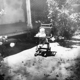 Toddler in a stroller