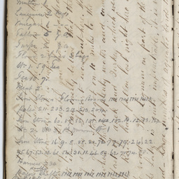 Diary of Charles Johnston