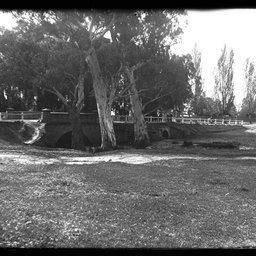 Collection of photographs taken around Adelaide by Theo Bachmann