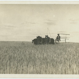 Photographs relating to the King family