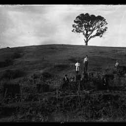 Collection of photographs taken around Adelaide by Theo Bachmann