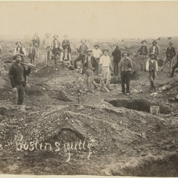 Goslin's Gully, Teetulpa