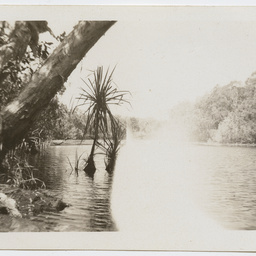 Colin James Ellis, World War II photograph album, Darwin.