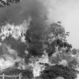 Bushfires in the Adelaide Hills