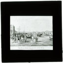 Development of Adelaide 1839-1914: series of lantern slides.