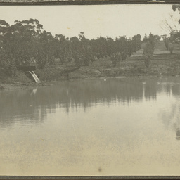 The big reservoir in Wittunga farm