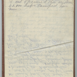 Diary of Trooper Miles Fletcher Swan