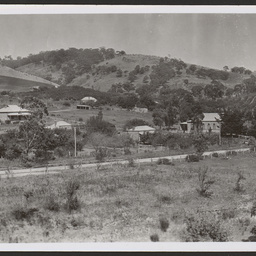 Coromandel Valley