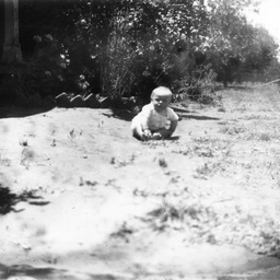 Young child playing in the garden