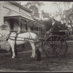 Martha White in dog cart