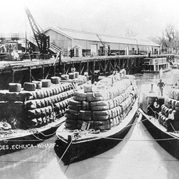 Rodney and barges loaded with wool at Echuca Wharf