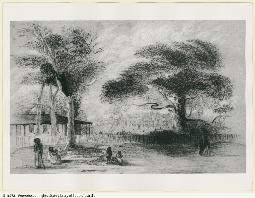 st-peter-s-college-photograph-state-library-of-south-australia