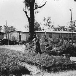 Japanese Internment Camp