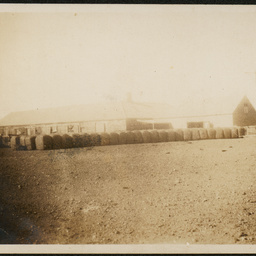 Wirrealpa shed