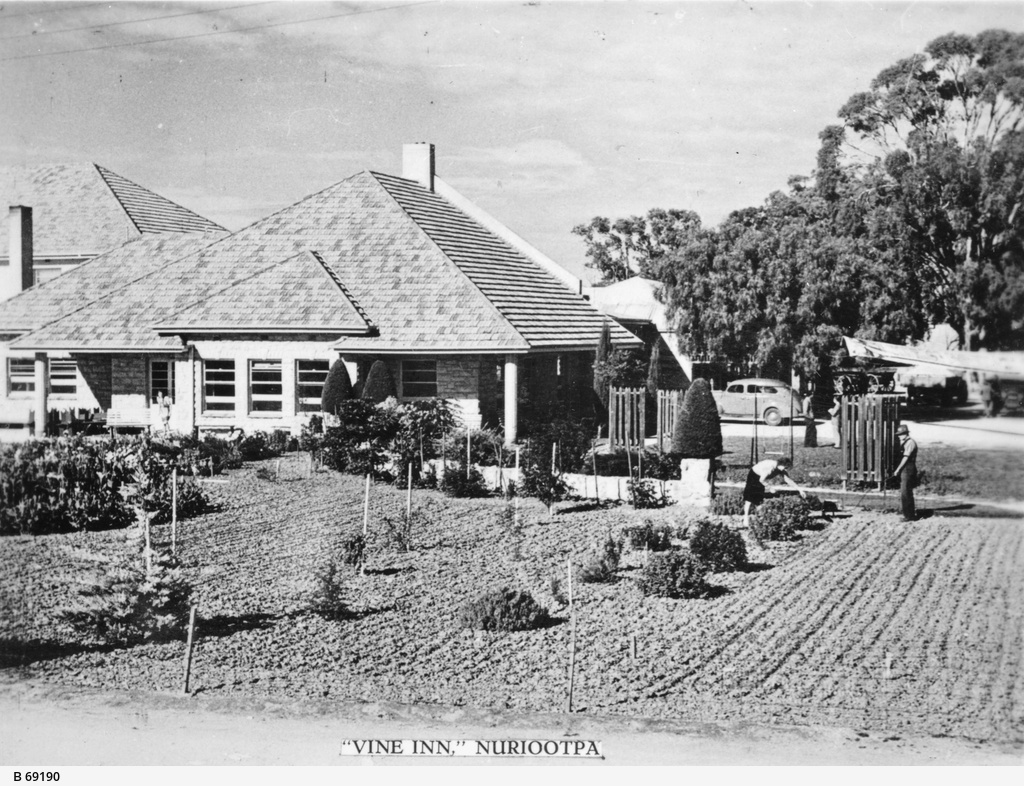 Vine Inn, Nuriootpa • Photograph • State Library of South Australia