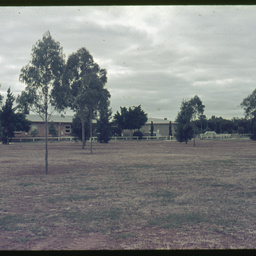 Oval, Elizabeth