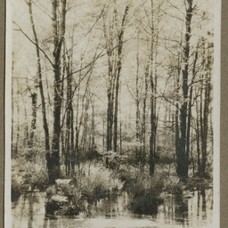 Unidentified scene
