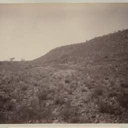 Valley and Creek
