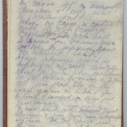 Diary of Trooper Miles Fletcher Swan