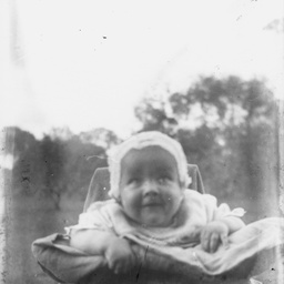 Young child in a garden