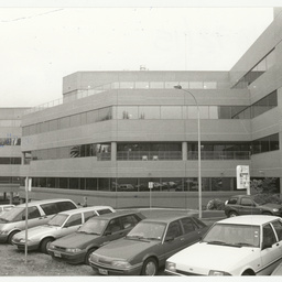 North Adelaide