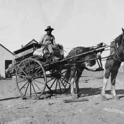 Dray at Oodnadatta