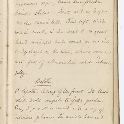 Handwritten diary of Dr Renner.