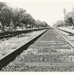 Photographs relating to Messenger Press : trains
