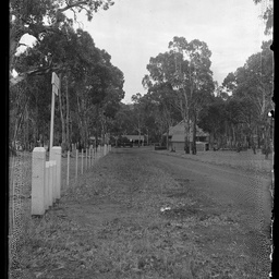 Collection of photographs taken around Adelaide by Theo Bachmann