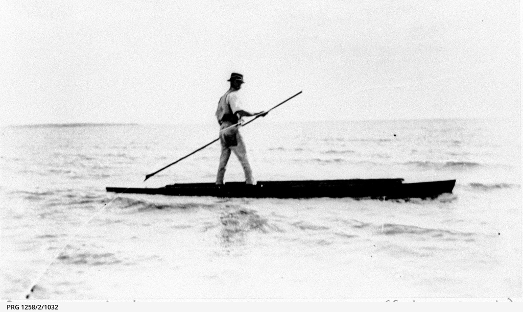 Professional duck shooter on Lake Albert • Photograph • State Library
