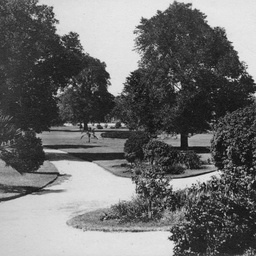 Views of SA, WA, Vic & NSW : Creswell Gardens