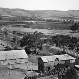 Tanunda District from Chateau