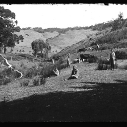Collection of photographs taken around Adelaide by Theo Bachmann