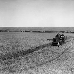 Harvester Aldinga