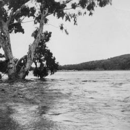 Floodwaters