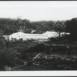 Nursery, Houghton